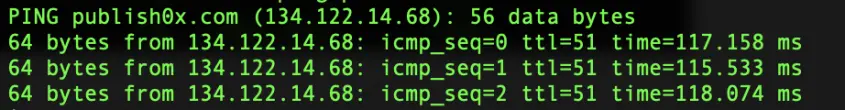 Ping output