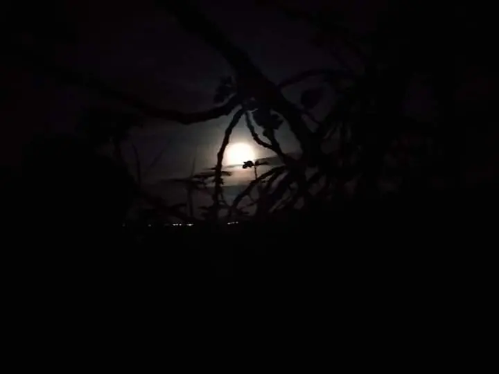 46218c06c1caa2a5079eeedec838b63b8acf806c05d258a2058d49fb7b1b20f4.jpeg