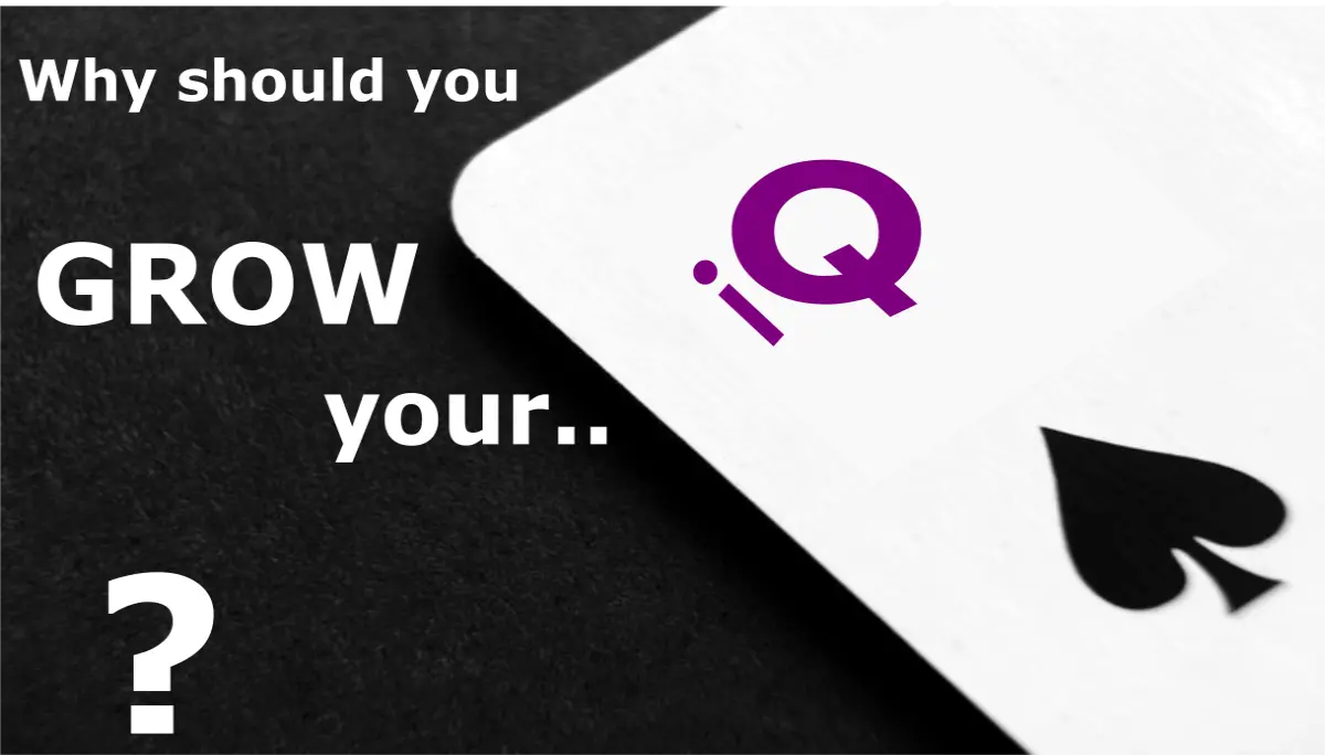 What is IQ?