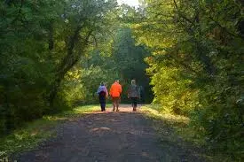 3 people walking in nature