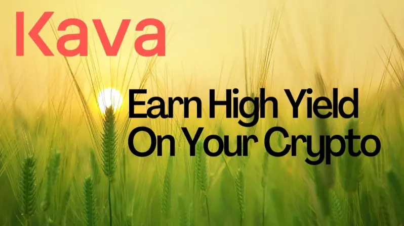 KAVA