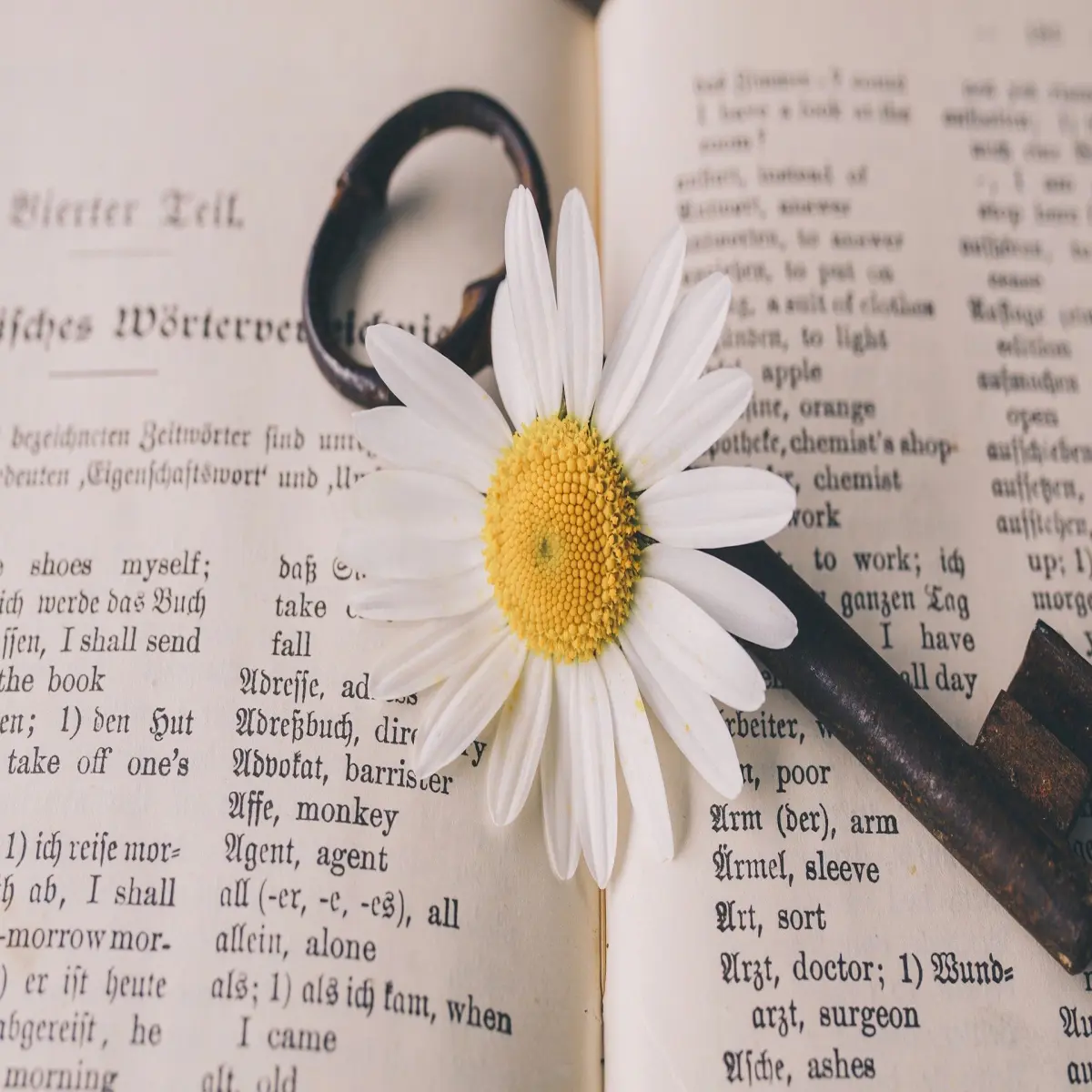 flower, key, book
