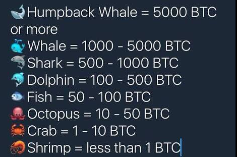 Rankings