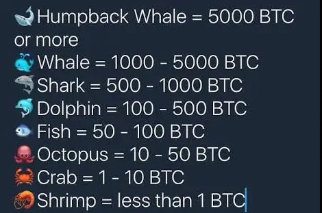 Rankings