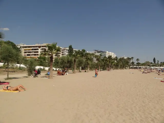 Around Athens - Palaio Faliro - Beaches - Mpati Beach - Trees