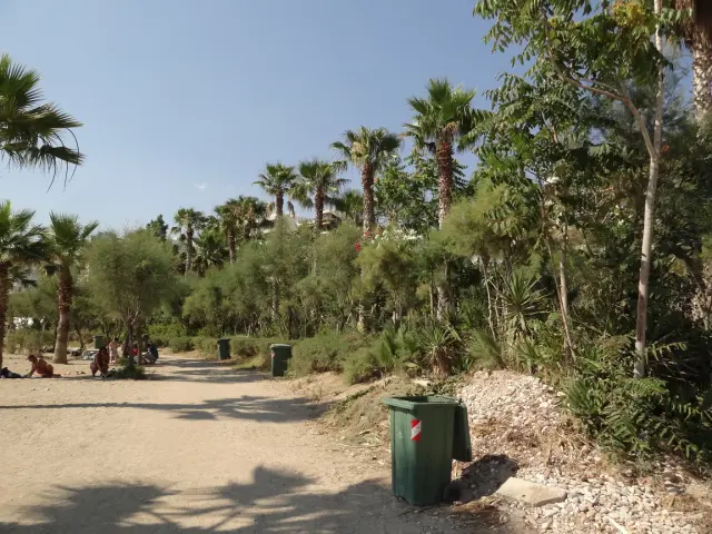 Around Athens - Palaio Faliro - Beaches - Mpati Beach - Woods