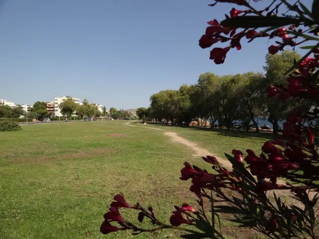 Greece - Around Athens - Voula - Beaches - Notos Beach - Park