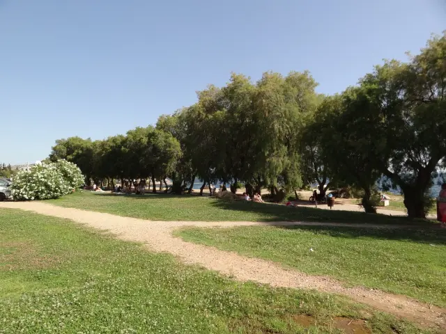 Greece - Around Athens - Voula - Beaches - Notos Beach - Shade
