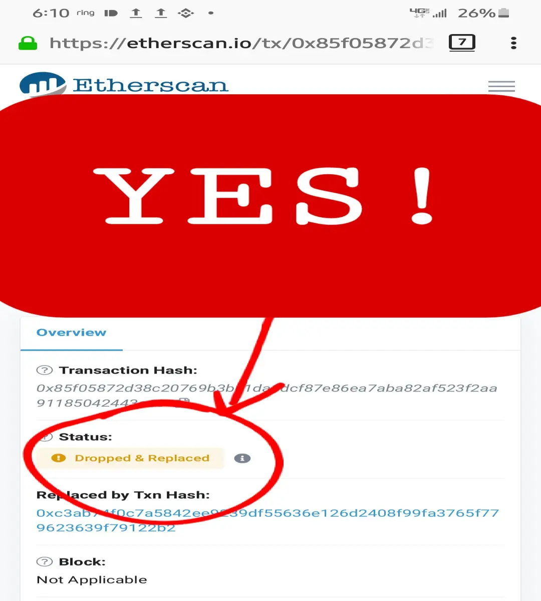 318bc7cd2a72f5fbb724f7f32cabdda4a91f553a6e04e2fb51cb0c56397e36ae.jpeg