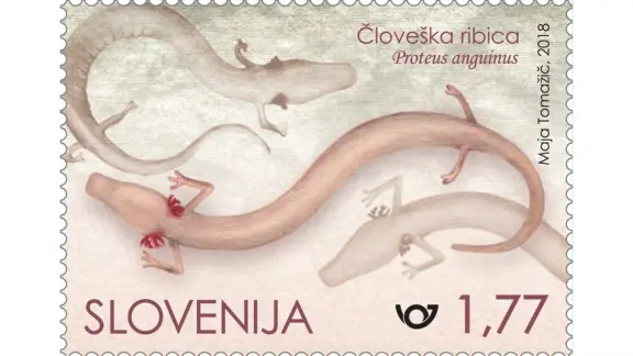 Human fish (Proteus Anguinus) on a stamp