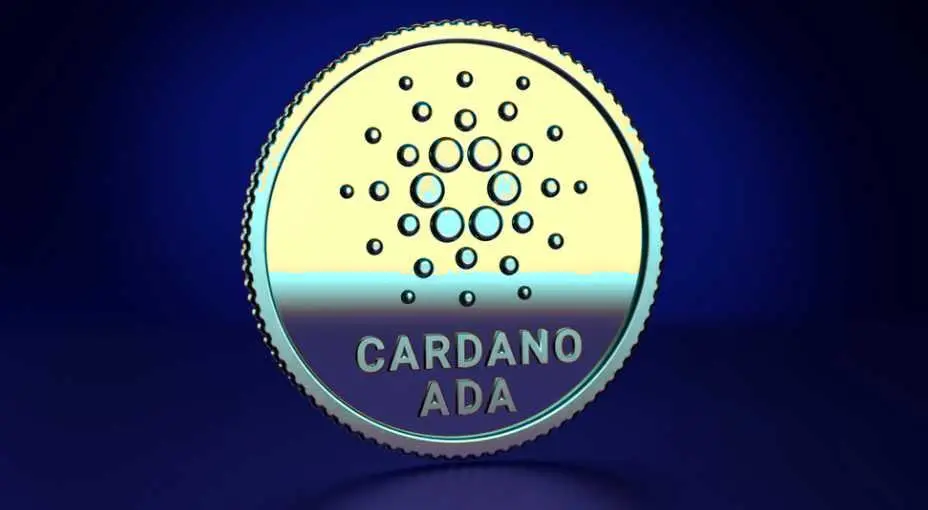 805fad7583987035da4e18069457a9b0f822d2c269c4bcf617ca96f61ce0b0b8.jpeg