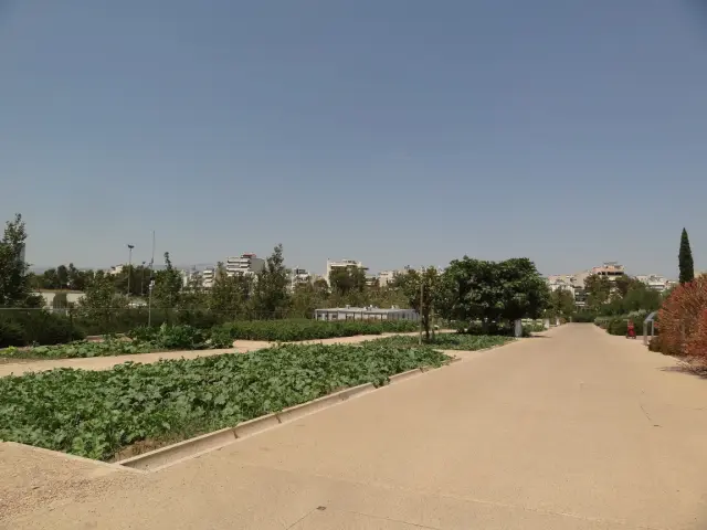 Greece - Around Athens - Kallithea - POI: Stavros Niarchos Park - Vegetable Garden