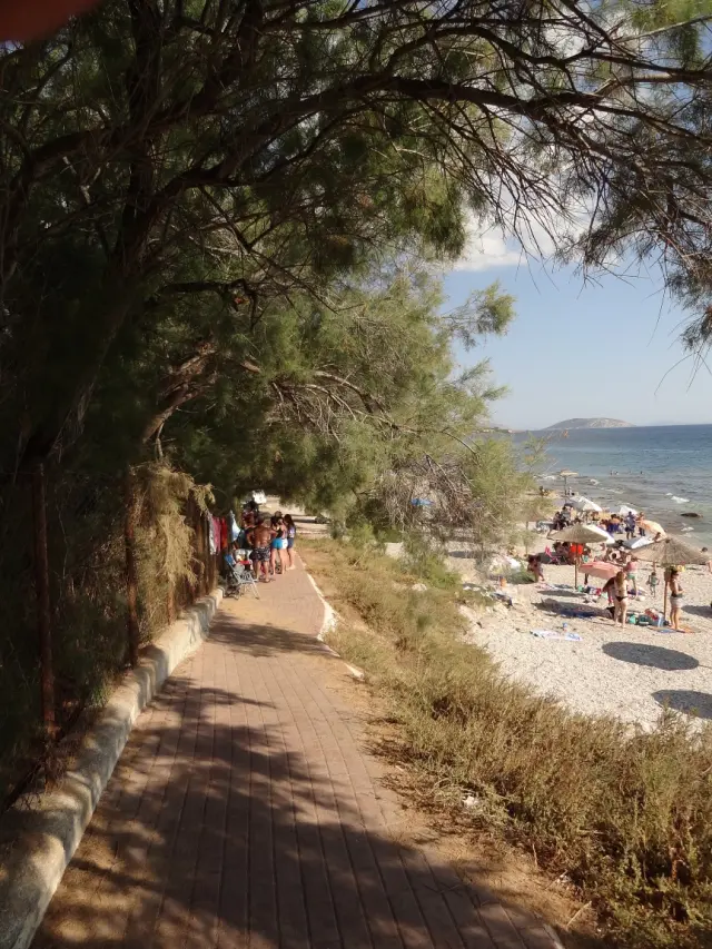 Around Athens - Lagonisi - Beaches - Agios Nikolaos Beach - Trees