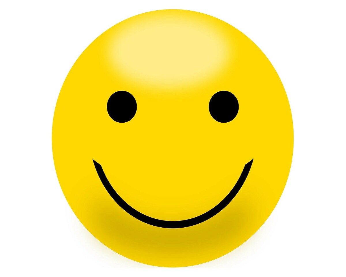 b6990d29fbddd424829aa510efb604bedfbd23ec624db83ebef425792d5cd44f.jpeg