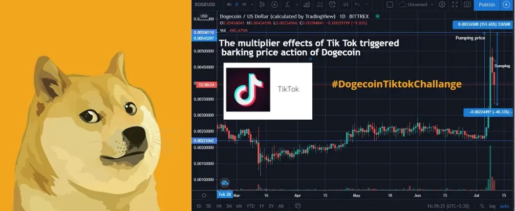 dogecoin crypto