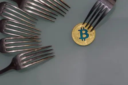 All those Hard Forks and no where to connect?