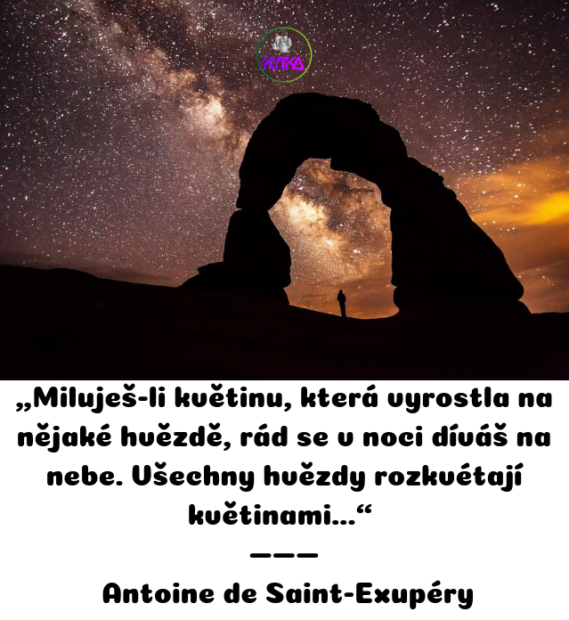 190903265-e46155195d33afb2c80d78d052f20c7ab6aeb4ff2fa095b24d918419a0776405.png