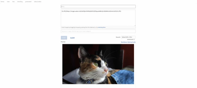 190903265-261138f3cc062f37165c2222c8e893fccde030463c147fbc130505372afa5f35.png