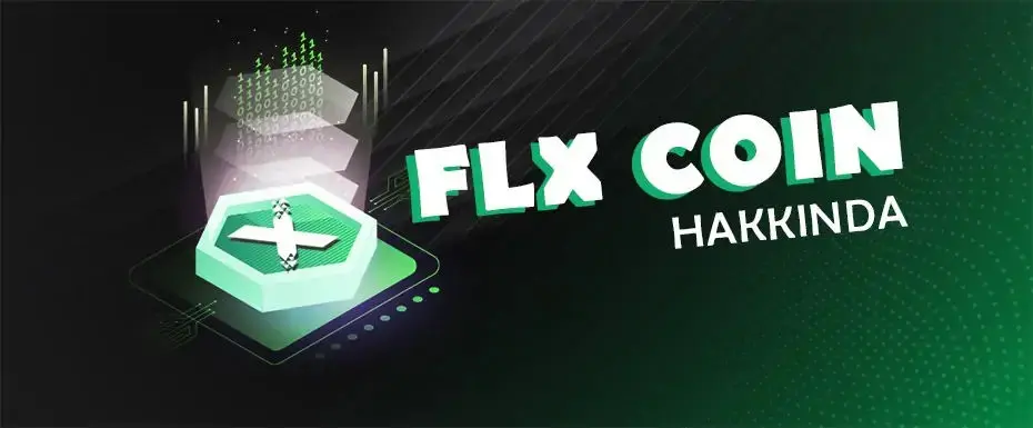 flx-felixoborsası-flxcoin-btc