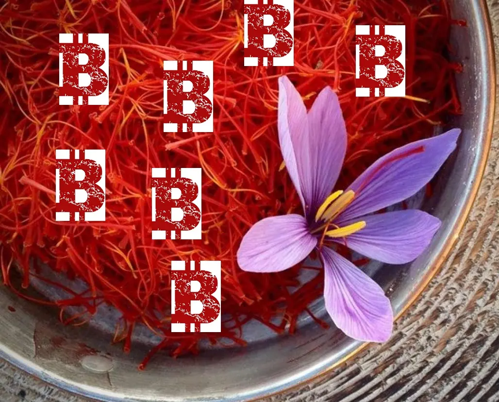 5342ebc0fb8c9a0e1e87964efc73757c0b82208a78fa2be6ddbdba97fe8960da.jpeg
