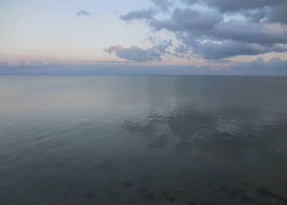 190903265-2fad146befbaabf12bd495fb18884c2400d8a63ff79fd5760437444cc94fc799.png