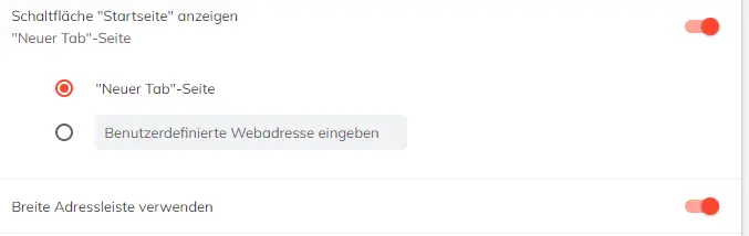Brave Einstellungen