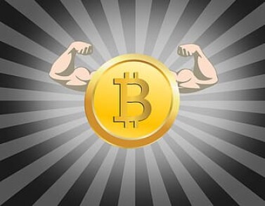 bitcoin strong fees strong hodl trevor balthrop