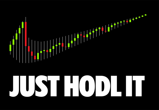 just hodl it trevor balthrop bitcoin nike