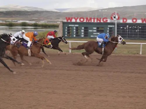 Fast out of the gate, first to cross the finishline? New Entrant Crypto.com is looking good, so far..