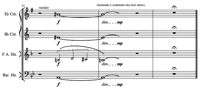 fig. XVII