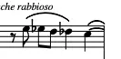 fig. XXIV