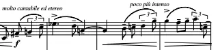 fig. IIa