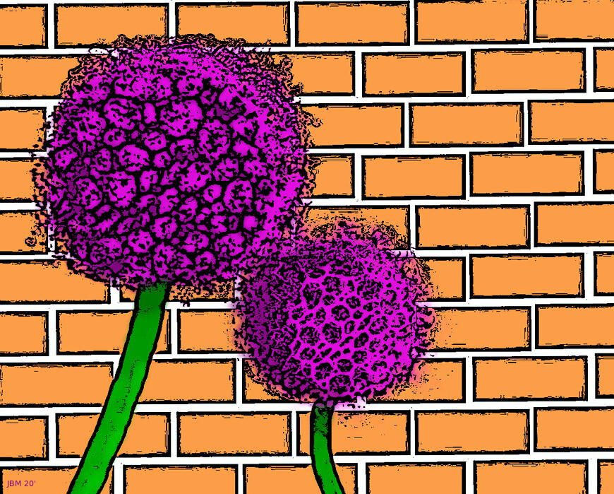 6b97a23d48435ef9261378b78c67a07e89b817905ea9573dcac4a9ca0b9db51f.jpeg