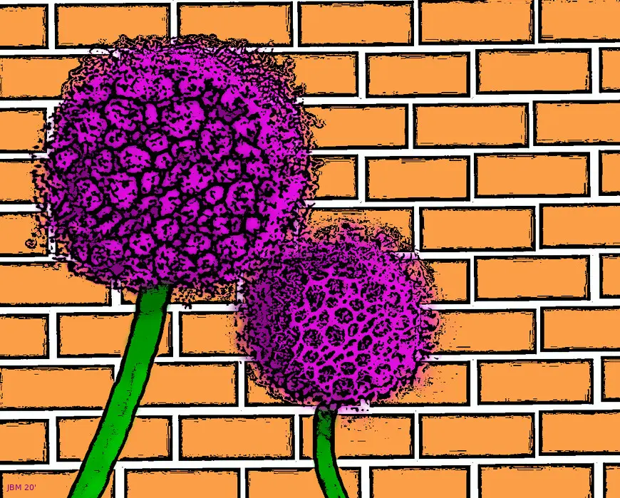 6b97a23d48435ef9261378b78c67a07e89b817905ea9573dcac4a9ca0b9db51f.jpeg
