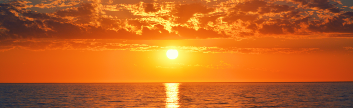 0da6aefabfc7c812eed20c1564adc62cce43e5eacdef7b791eca66360b78be2e.png