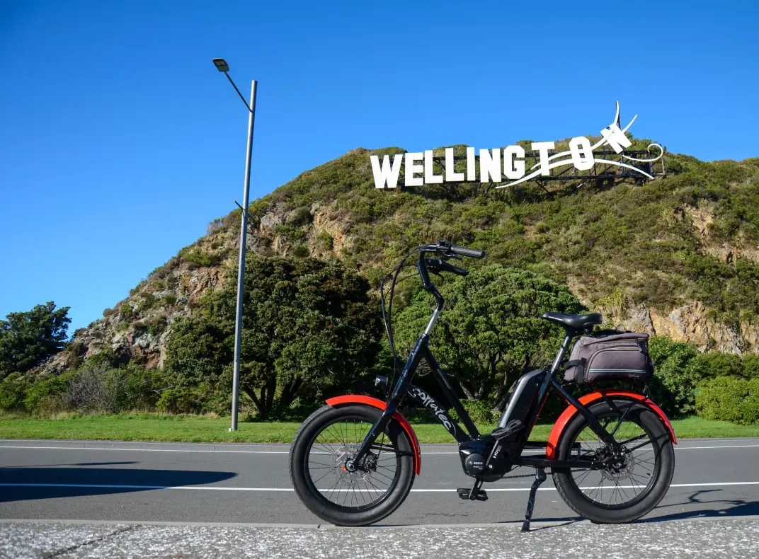 wellington e bike
