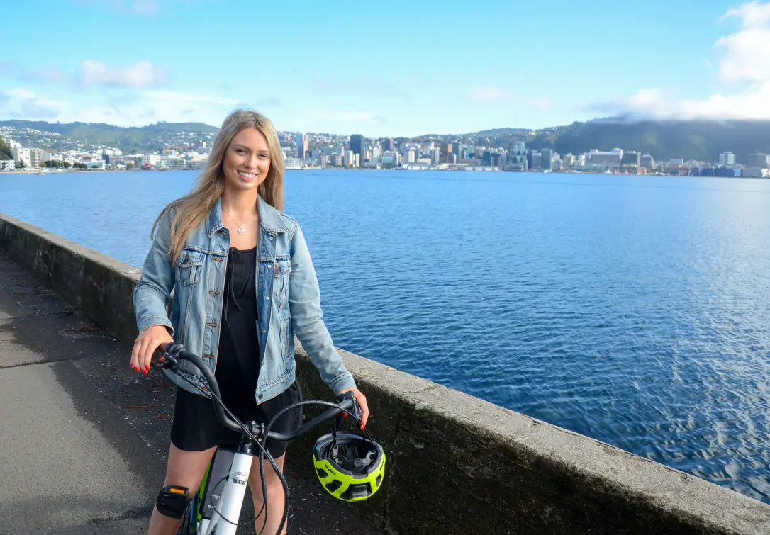 wellington bicycles