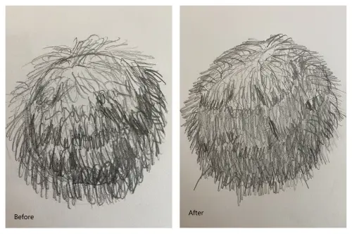 Before and after sketches of fur-textured spheres