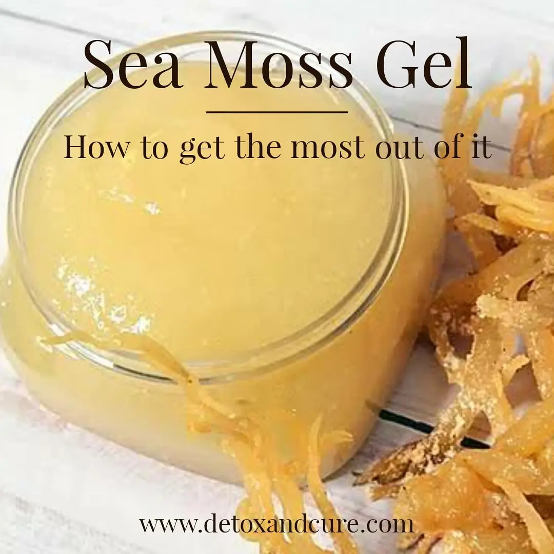 sea moss gel in a jar with dried sea moss next to it