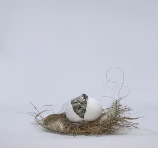 bitcoin trevor balthrop btc money egg