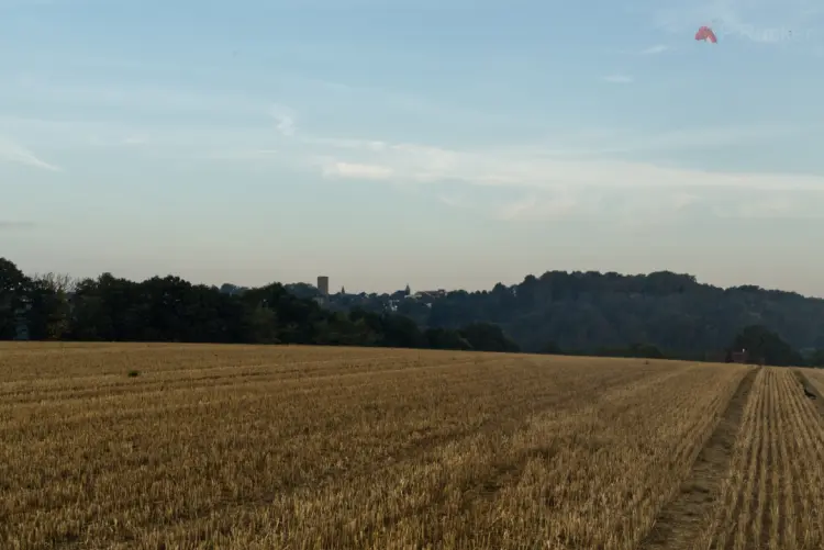 Harvested field