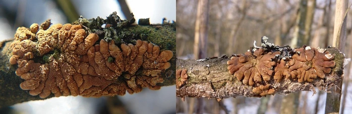 351665157-43b48c972d71baeee2d00d6f5450ff3b6d0f75966a4955bc8929e5de945f1089.jpeg