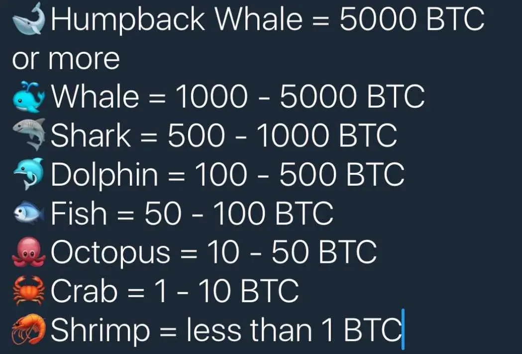 Chart - BTC Net worth