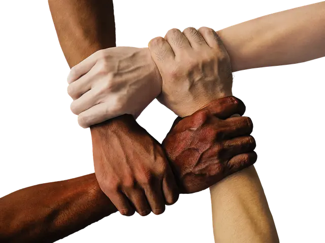 59243e8ad145d7eaa5502bc046fd77aaa52ddda080b0c5b3961ce434fc779841.png