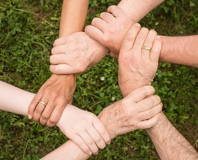 Team Spirit Cohesion