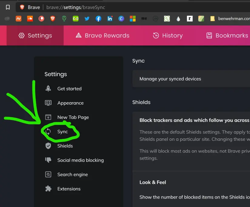 brave sync