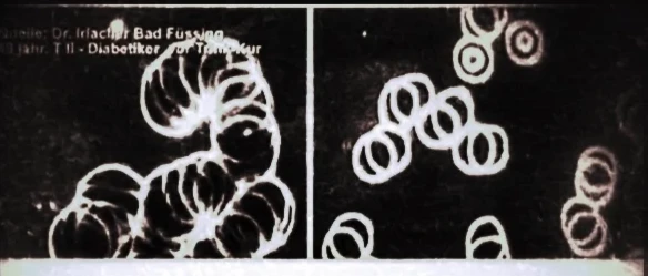 351665157-c299924ede03b25297891c5e006a0e0d02206e2286409cab988e4e0f30548f5c.png