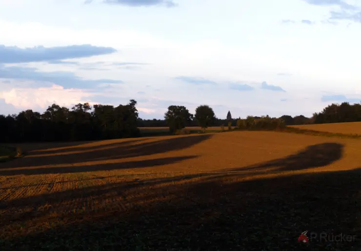 fields
