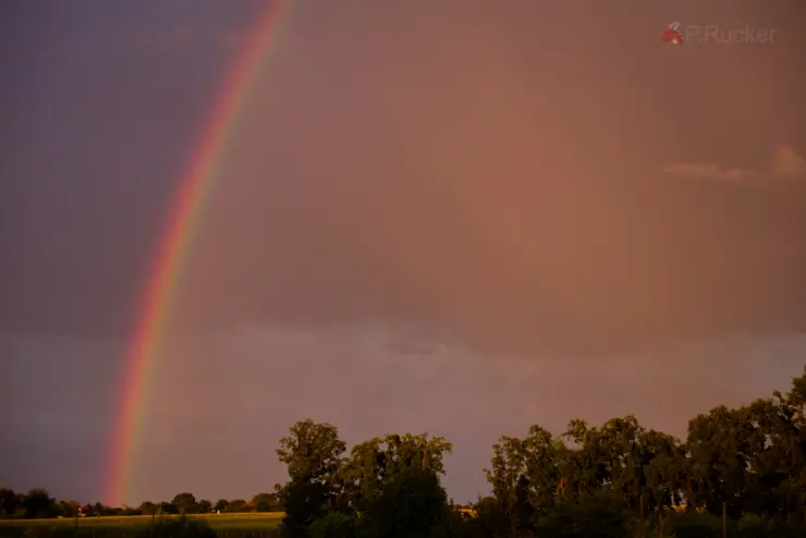 rainbow