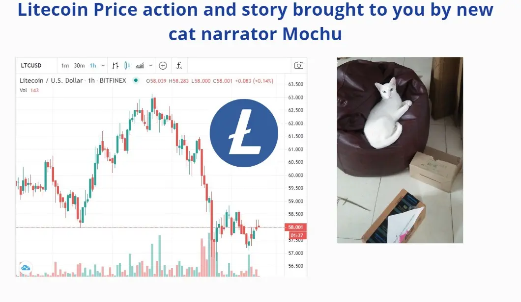 litecoin, ltc digital silver
